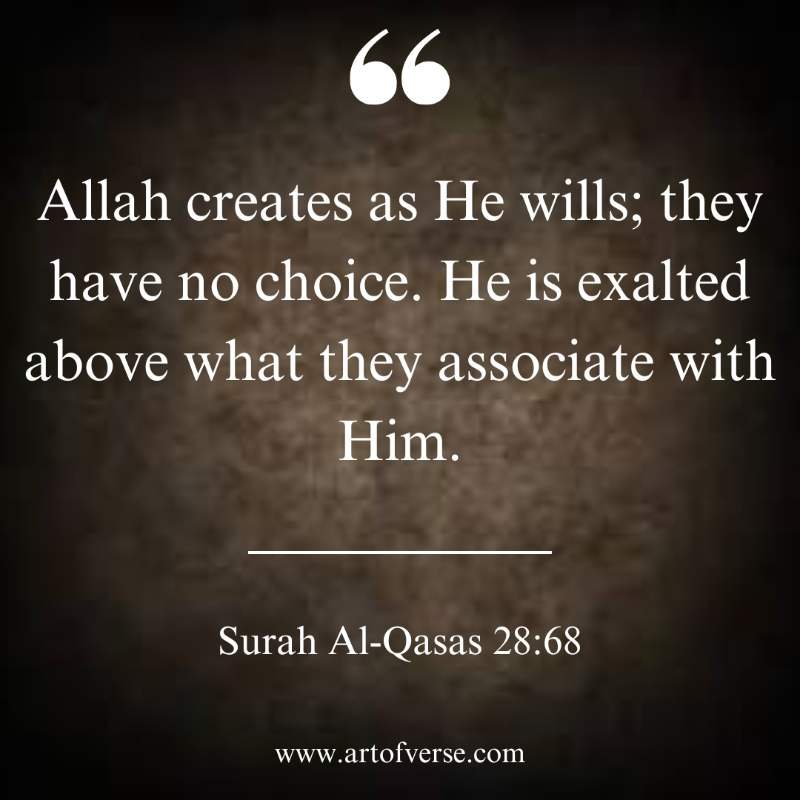 Divine Plans and Wisdom Quotes of Quran