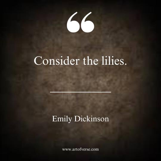 Emily Dickinson Quotes on Simplicity