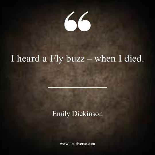 Emily Dickinson Quotes for Motivation