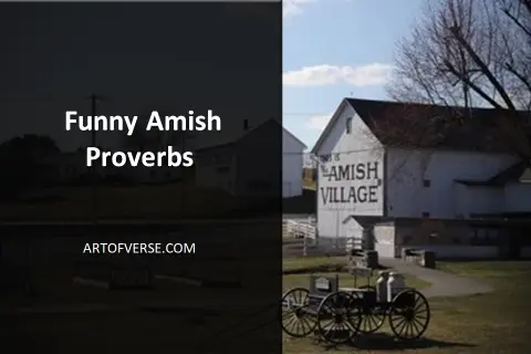 Profound Amish Proverbs About Life