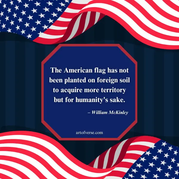 American Flag Quotes for humanity's sake