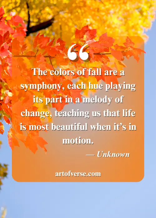 Fall Colors Quotes to Capture the Season