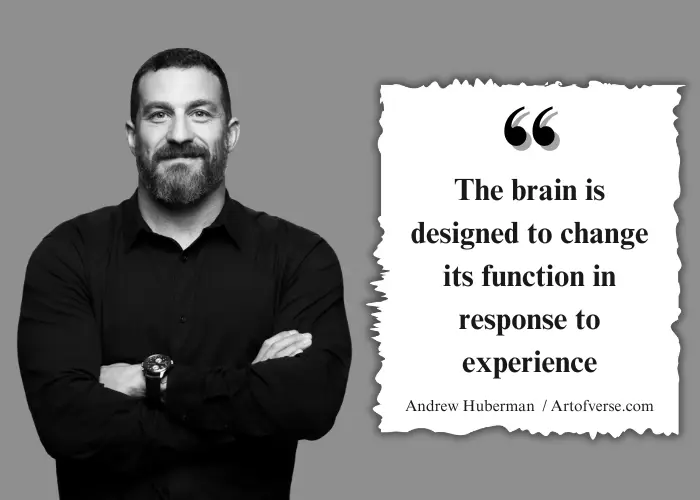 Quote about brain adaptability by Andrew Huberman