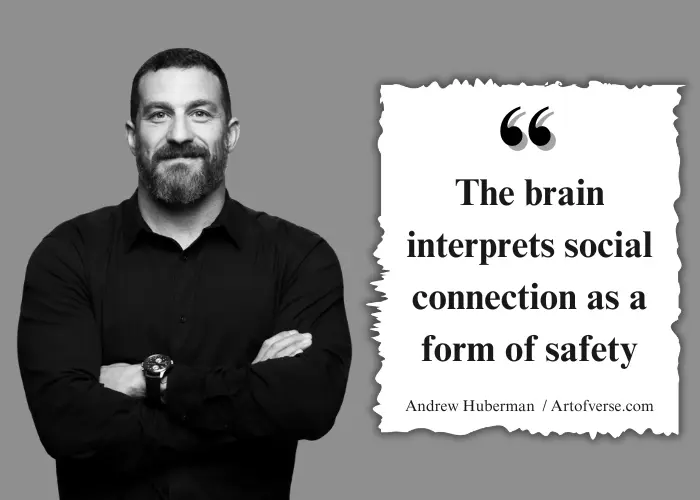 Quote on the brain linking social connection to safety by Andrew Huberman