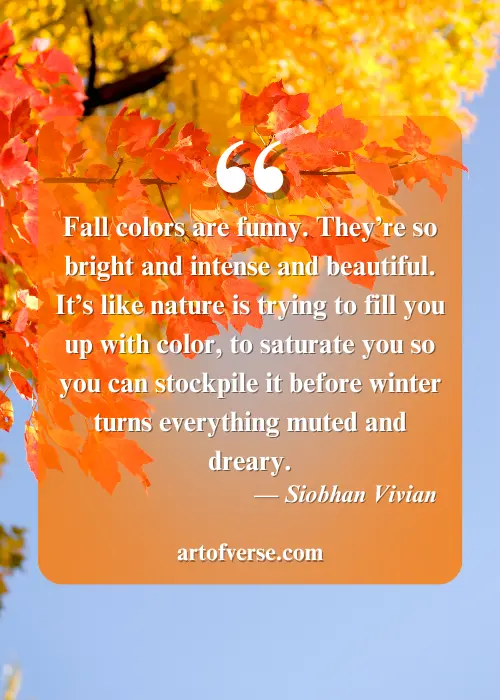 Quotes on the Beauty of Fall Colors