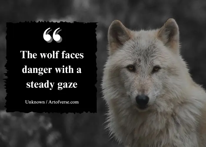 inspirational wolf quotes