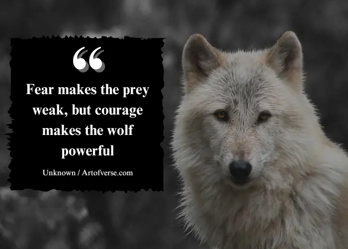 powerful quotes for warriors