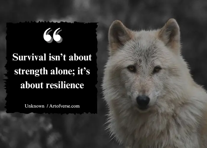 resilience quotes