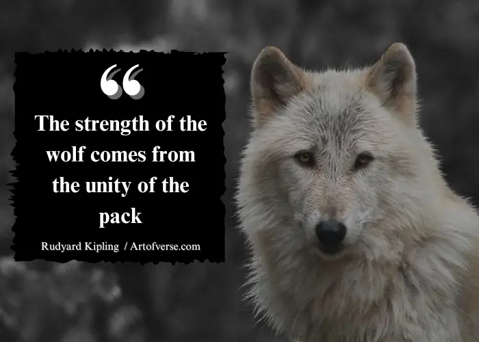 wolf spirit motivation