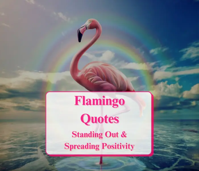 Top Flamingo Quotes for Standing Out & Spreading Positivity