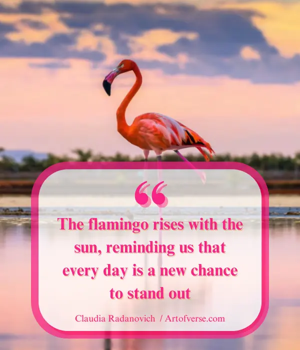 Flamingos rise with the sun, ready to stand out daily