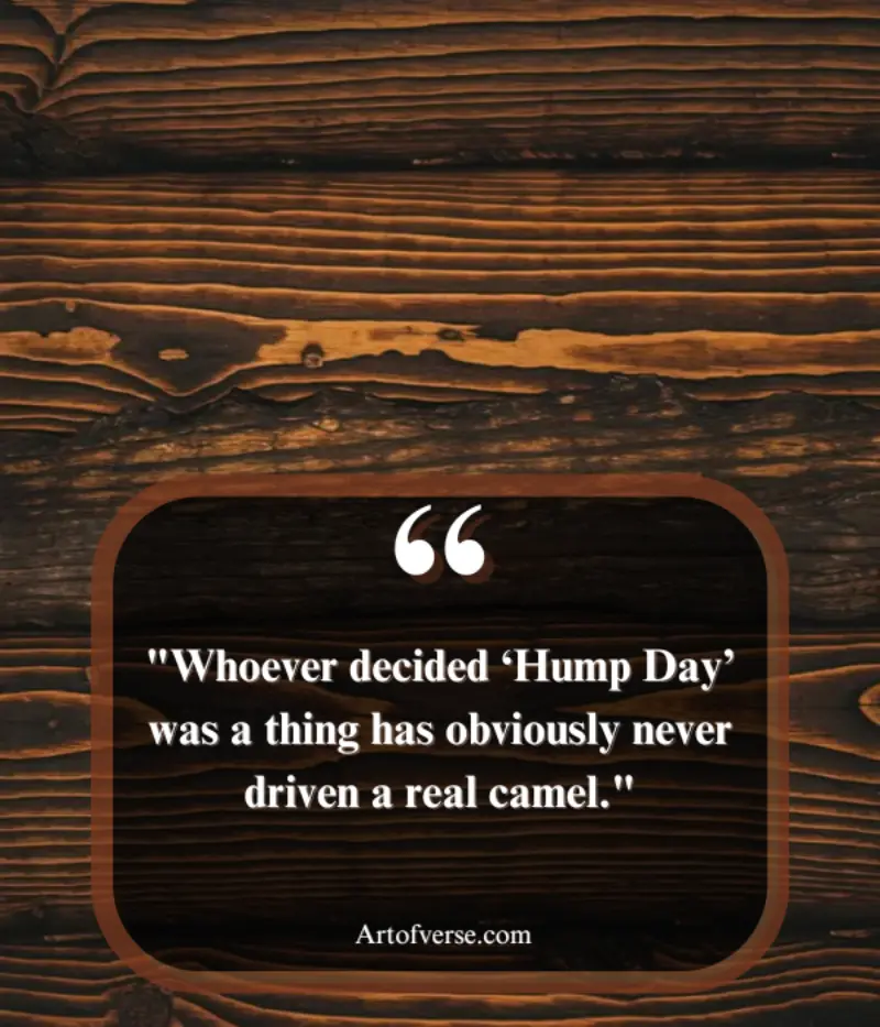 Funny Wednesday Quotes