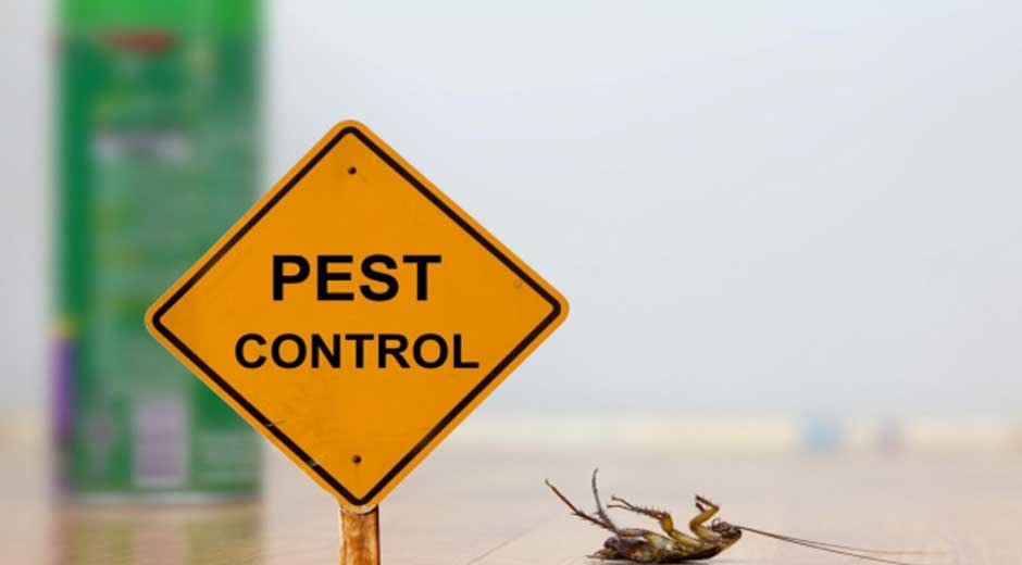 4 Key Factors Affecting Indoor Pest Treatment Costs to Your Home